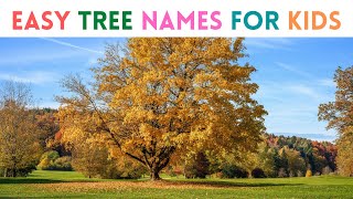 10 Most Easy Trees Names | Names of trees for kids  | Names of Trees in English with pictures