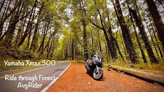 Riding in the Forest - Yamaha Xmax 300