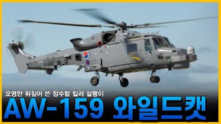 억울하게 누명쓰고 억까당한 하늘의 인천급호위함. AW-159 와일드캣//조종의 NAVY썰(해군 이야기)