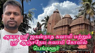 அகரா ஸ்ரீ ஜகன்நாத சுவாமி கோவில் தரிசனம் | Tata's View | Tamil