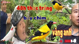 Thử thách thức trắng 48 giờ bẫy chim vàng anh,bẻo,chào mào bạch,tu hú,cú mèo,quốc,cò/độc lạ sầm sơn