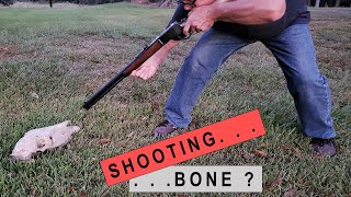 REALISTIC Bullet Test! 44 Mag vs Bone!