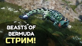 BEASTS OF BERMUDA СТРИМ – Новый динозавр, новая карта и новый сервер!