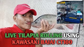 UPDATE: Set up sa Live Tilapia Rolling gamit ang Kawasaki Bajaj CT100 with Kulong-kulong | PinedaTv