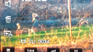 Western Oklahoma Whitetail Hunt Highlight the video will be out soon!