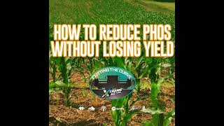 How to Reduce Phosphorous on your Farm Without Sacrificing Corn Yield