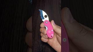 Spyderco Cricket C29PN. Sprintrun 1999, 1 of 1200.