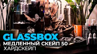 Медленный аквариум скейп 1 - #Хардскейп