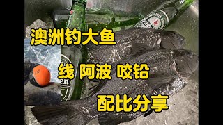 【澳洲外海搏大鱼】 线组配比总结 【线+阿波+咬铅】使用分享