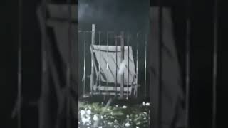 Storm  Belgrade