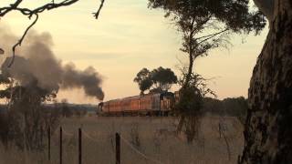 Australian Steam Trains: Steamrail Victoria Ballarat Heritage Festival 2013 consist transfer