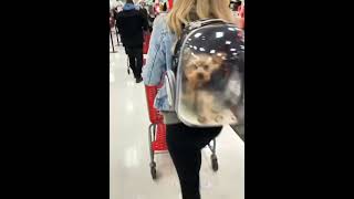 Transparent Dog Bag #shorts #youtubeshorts