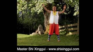 Master Shi Xinggui - Shaolin Qi Gong