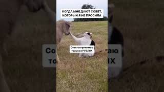 Так гораздо удобнее!