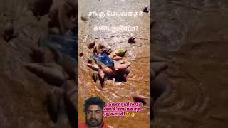 Wow amazing #tamil #tamilsong #tamilnadu #tamilreels #tamilshorts #tamiltrending #tamilstatus #viral