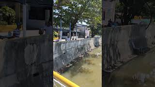 Tulay Bitin ng Barangay Sta. Isabel, Kawit. Hanging Bridge. #nature #kawitcavite