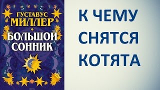 К чему снятся котята. Сонник Миллера. Толкование снов.