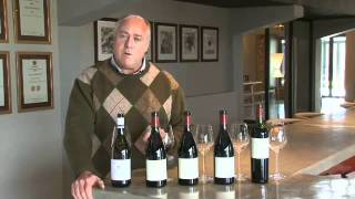 Neil Ellis - 2009 Vineyard Selection Grenache