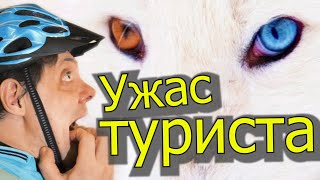 Самый страшный зверь для туриста