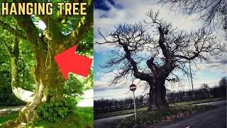 The Hanging Tree - History's Most BRUTAL Execution Method?