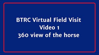 BTRC Virtual Field Visit Video 1 - 360 degree view of horse