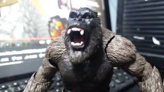 kong roar test