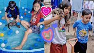 Otter lucu Denise si Jago berenang dan jinak sama anak-anak kecil