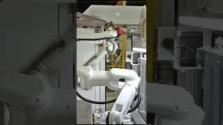 Robotic sample tube sortation system #shorts #automation #robotics #fanuc