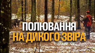 ПОЛЮВАННЯ НА КОПИТНОГО ЗВІРА І СПРАВЖНІ ДИКІ ЕМОЦІЇ І СТУКІТ СЕРЦЯ МИСЛИВЦЯ.