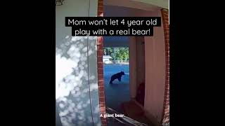 4 year old wants to play with wild bear.