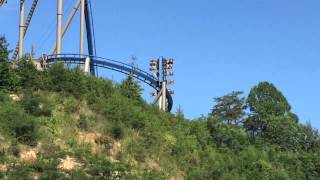 Wild Eagle POV Offride Dollywood