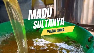 Persiapan Panen Madu Randu Edisi Tahun 2024