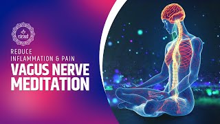 Vagus Nerve Meditation: Reduce Inflammation & Pain | Heal Your Heart, Brain and Gut Health