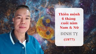 Thiên Mệnh Nam - Nữ tuổi Đinh Tỵ 6 tháng cuối năm 2021