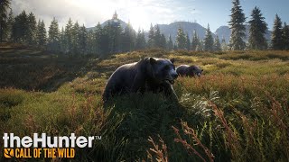 theHunter COTW - gameplay 33 | Lovecká show v jezerní oblasti | Hunting show in the lake area