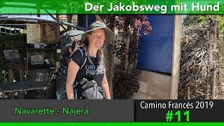 Jakobsweg mit Hund - Doku 2019 (4K) Tag 11: Navarette nach Najera || Camino Santiago Frances