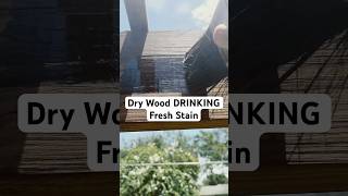 Exterior Wood Absorbing Fresh Stain in Real Time | Importance of Staining Exterior Wood #diy