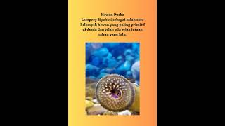 Fakta hewan aneh yang penuh misteri "lampREY"