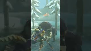 La VERDADERA FUERZA de Link en Breath of The Wild #link #zeldatearsofthekingdom #nintendoswitch