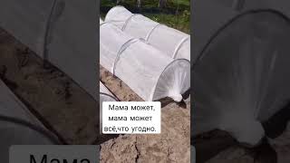 мини - парник из светофора, парник из дуг, простая теплица #дача #огород теплица #деревня #парник