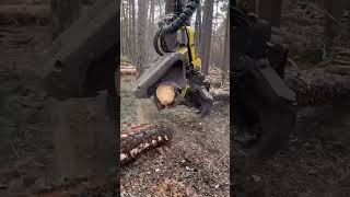 "Monster Woodchopper: Machinery in Action.