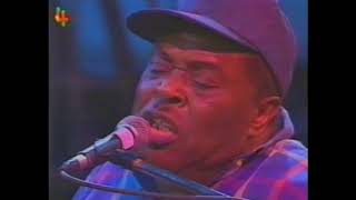 CeDell Davis - Bellinzonia Blues Festival 1995