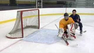 ProHybrid Training DVD Vol. 1-hockey goaltending drills tips techniques