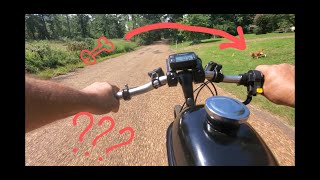 Mystery engine failure while being chased by dogs on a motorized bike