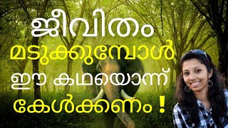 Malayalam motivational story | Malayalam motivational video | Elephant story