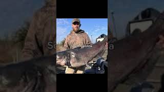 Biggest fish from each state part 3