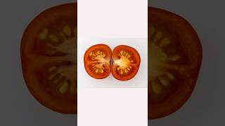 Tomato Rotting Time Lapse #rotting #vegetables #timelapse #shorts #viral