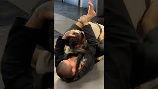 Flower sweep to triangle and omoplata: Moncaio Brothers JiuJitsu