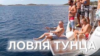 Хорватская ловля белого тунца