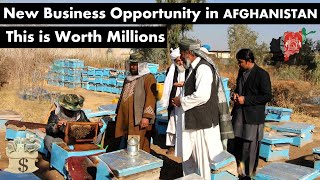 A Booming Business in Afghanistan | Honey Farming